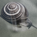 RealFakeSoof-BurningMemoryOfAnImmortalSnail icon
