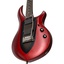 RealeStudios-FGMCGuitars-1.0.0 icon