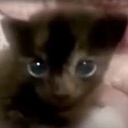 Reapoor-Smexy_Company_modpack icon