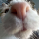 ReiTheGoat-elgrupomodpack icon