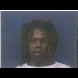 Reiko88-PaypaGambinoBug icon