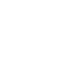 Rein-NetLib icon