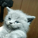 Revolution-pumbasmodpack icon