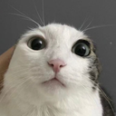 Revoxandco-Revoxandco_Modpack icon