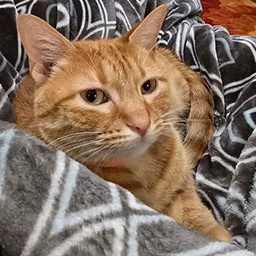 RileyMills-CoolDudes_Server_Pack icon