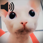 Rimuru-Rimurus_Soundpack-0.2.0 icon