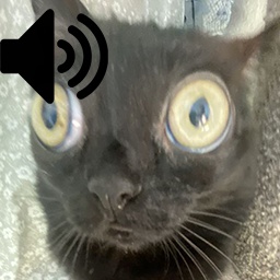 Rimuru-Rimurus_Soundpack icon