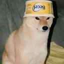 RiskOfDoge-Doge_Pack icon