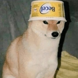 RiskOfDoge-Doge_Pack icon