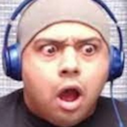 RiskyRains-DashieBird icon