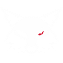 Rizzotto-Megamod icon