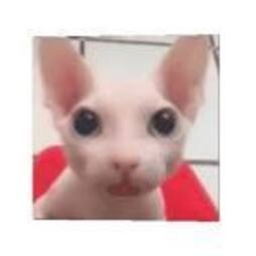 RobloxFan-LethalKittyCafe icon