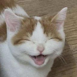 RobotC-SpiderManSuitsCopyFix icon