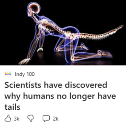 RockMoneyT-JustSomeNoiseChanges icon