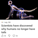 RockMoneyT-MinecraftCompany_Doors icon