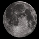 RogueDragon-TestMod icon