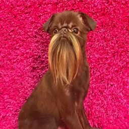 Rohrk-VikingDogsQoL icon