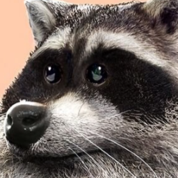 RoomyStorm92734-GoonerModpack icon