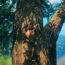 Rotceh999-ClimbingMod icon