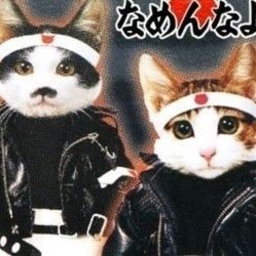 RunMillions-sPEAKer_Auruzz_Core icon