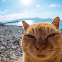 Russian_kid-UNactualMemesMusic icon