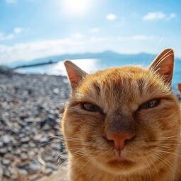 Russian_kid-UNactualMemesMusic icon