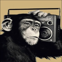 SHAPERS-MusicForDaBoiz icon