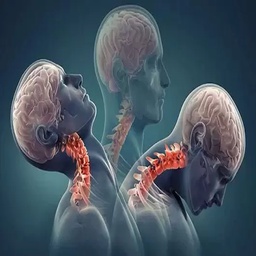 SHRIMPs-SHRIMPpack icon