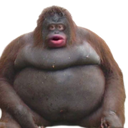 SINJ-ModPackForMySinjFun icon