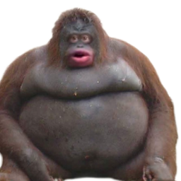 SINJ-ModPackForMySinjFun icon