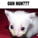 SKORRI-Cool_Modpack icon