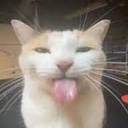 SPACELAND-SPACEPACK icon