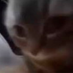 SPOKOYNO-BalancedModpack icon