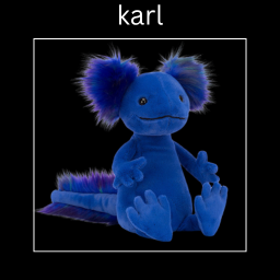 SRCocoa-CarlCards icon