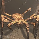 STAR_B-LC_Spooders icon