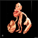 STEVETEAM-stevemp2026 icon