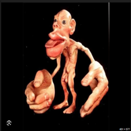 STEVETEAM-stevemp2026 icon