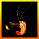 SafeCharity-ShrimpleAsThat icon