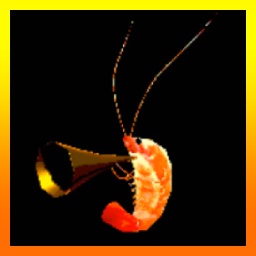 SafeCharity-ShrimpleAsThat icon
