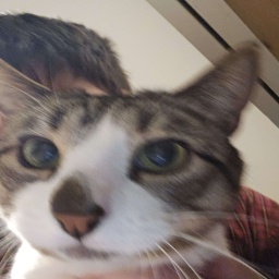 Sam0622-SamsSillyModPack icon