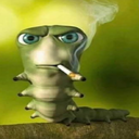 Sanya228-Professionals_LC icon