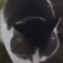 SauceCabinet-SauceCabinetSuits icon