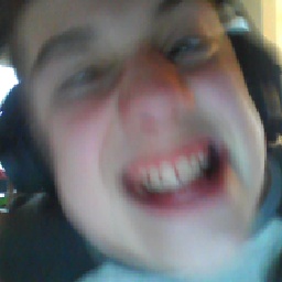 Sawyeeerrr-Cockerspanielcompany icon