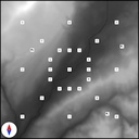 ScarletCore-MapReplacements icon