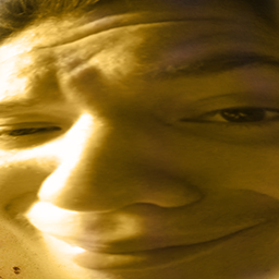 SchizCo_FriendsInc-ChubbyMod icon