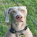 Schmooey-SchmooeyModPack icon