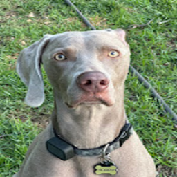 Schmooey-SchmooeyModPack icon