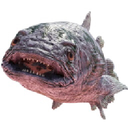 Schwalbe-CoelCompany icon