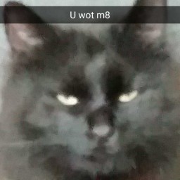 Scrubs69-ScrubsModPack icon