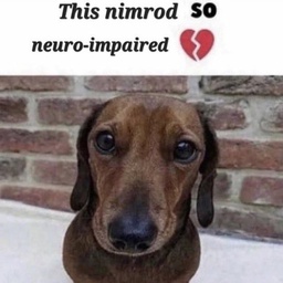 Scuffed_Corey-CoreysQOLModpack icon